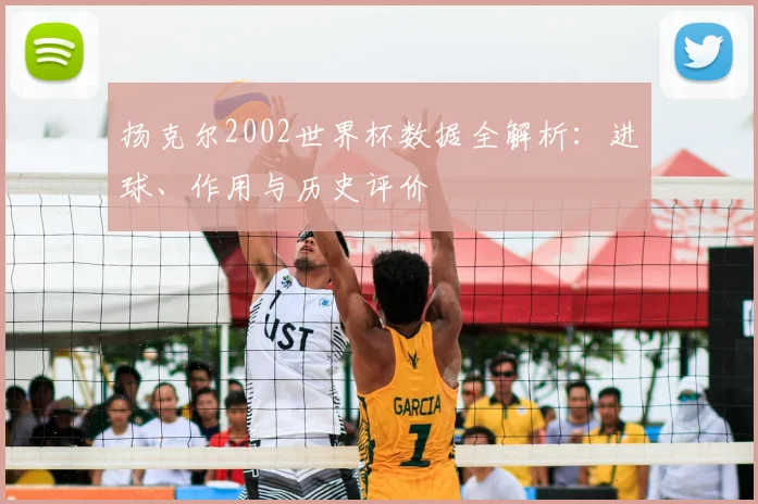 扬克尔2002世界杯数据全解析：进球、作用与历史评价