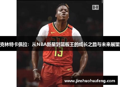 克林特卡佩拉：从NBA新星到篮板王的成长之路与未来展望