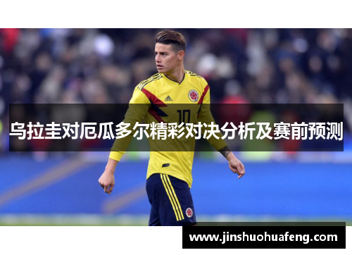 乌拉圭对厄瓜多尔精彩对决分析及赛前预测