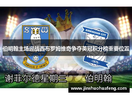 伯明翰主场迎战西布罗姆维奇争夺英冠积分榜重要位置